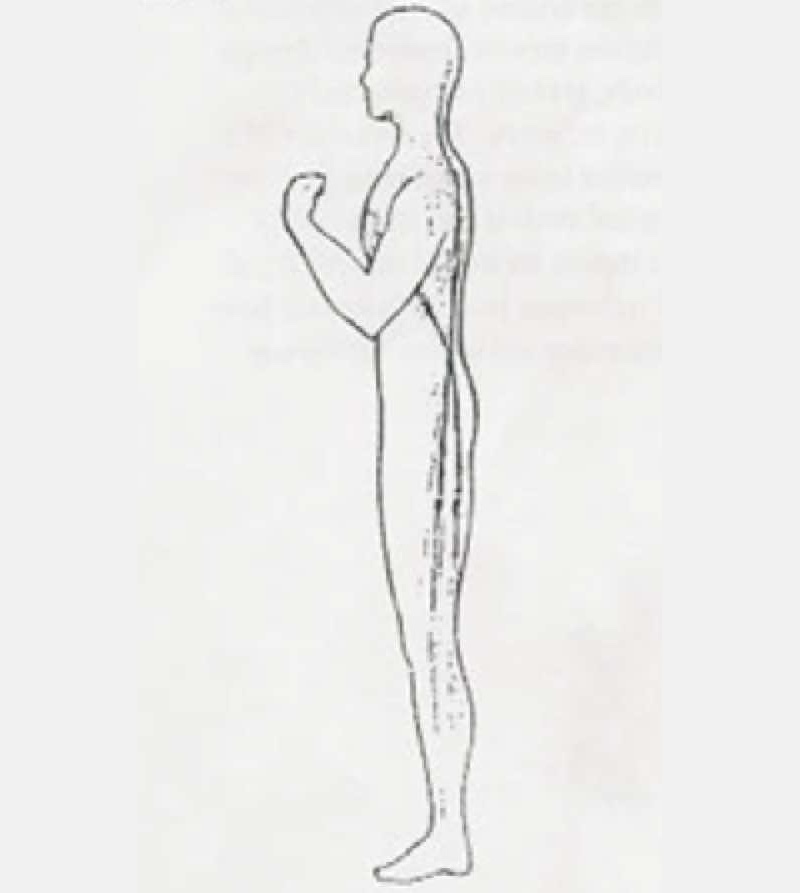 "Fascia Man" A problem in the back can pull on all the connected fascia and cause symptoms in distant areas.