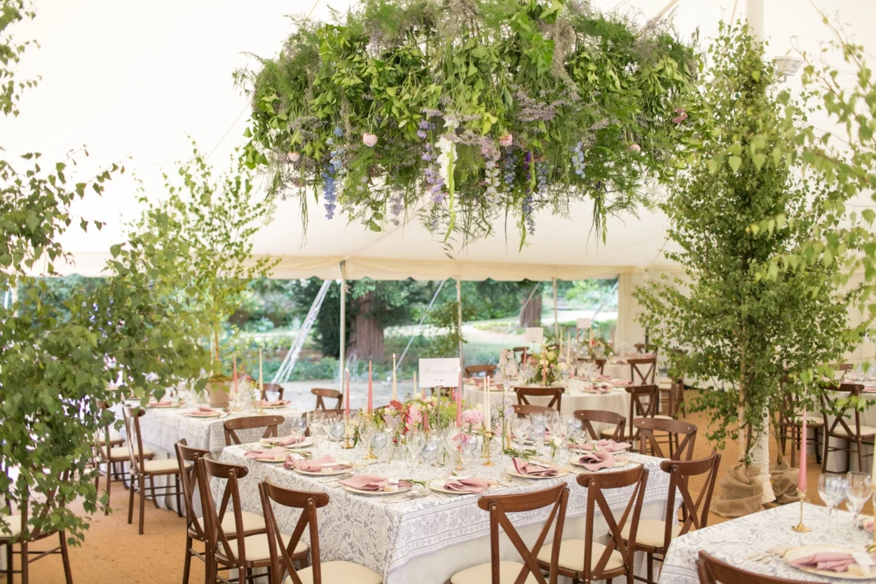A hanging installation and indoor trees
