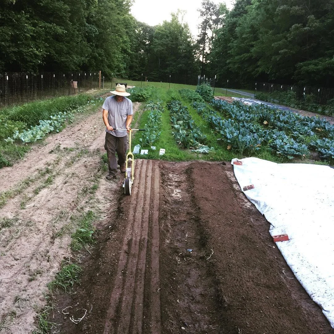 FCF Garden 2.jpg
