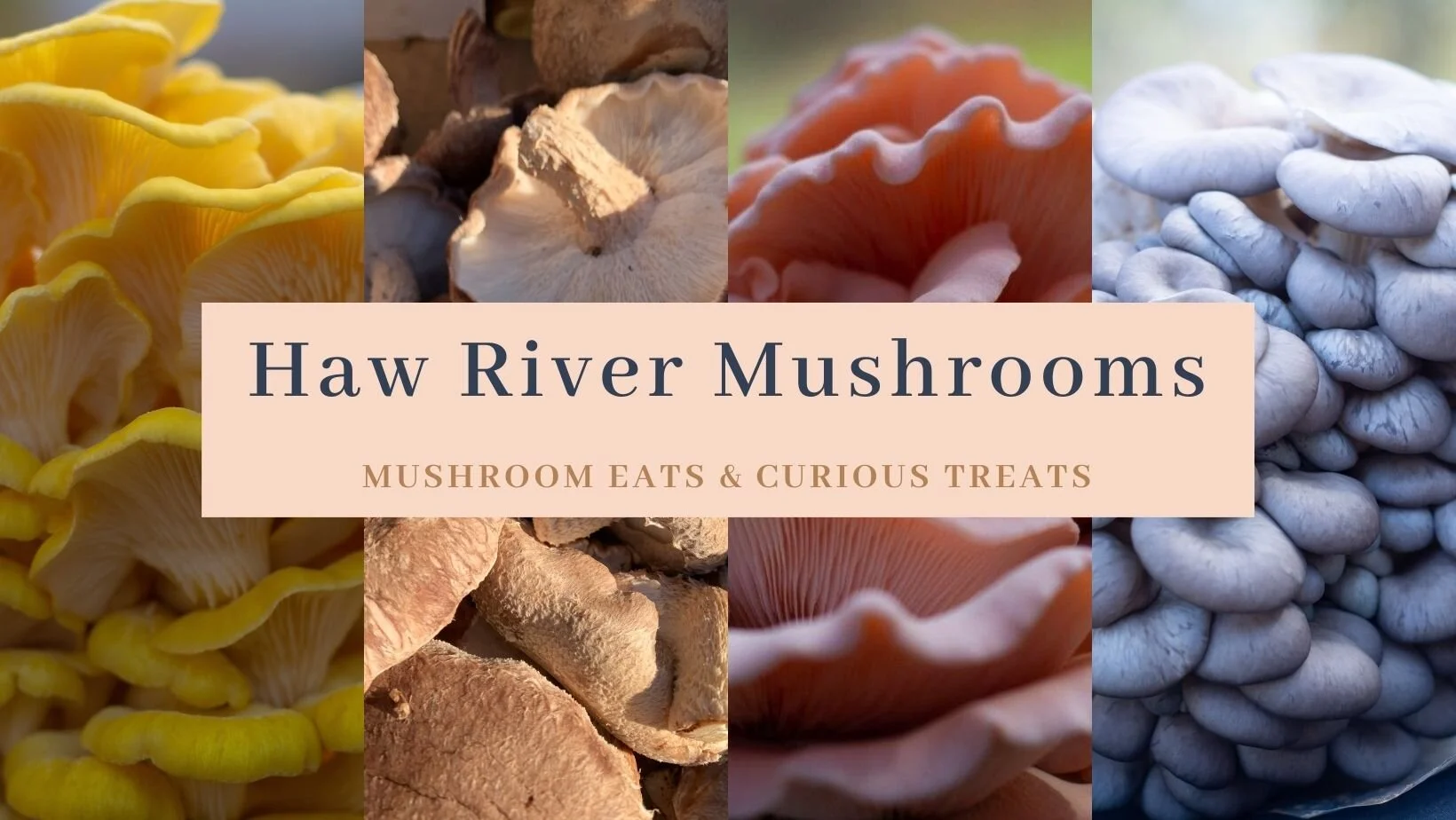 Organic Collage Food Facebook Cover.jpg