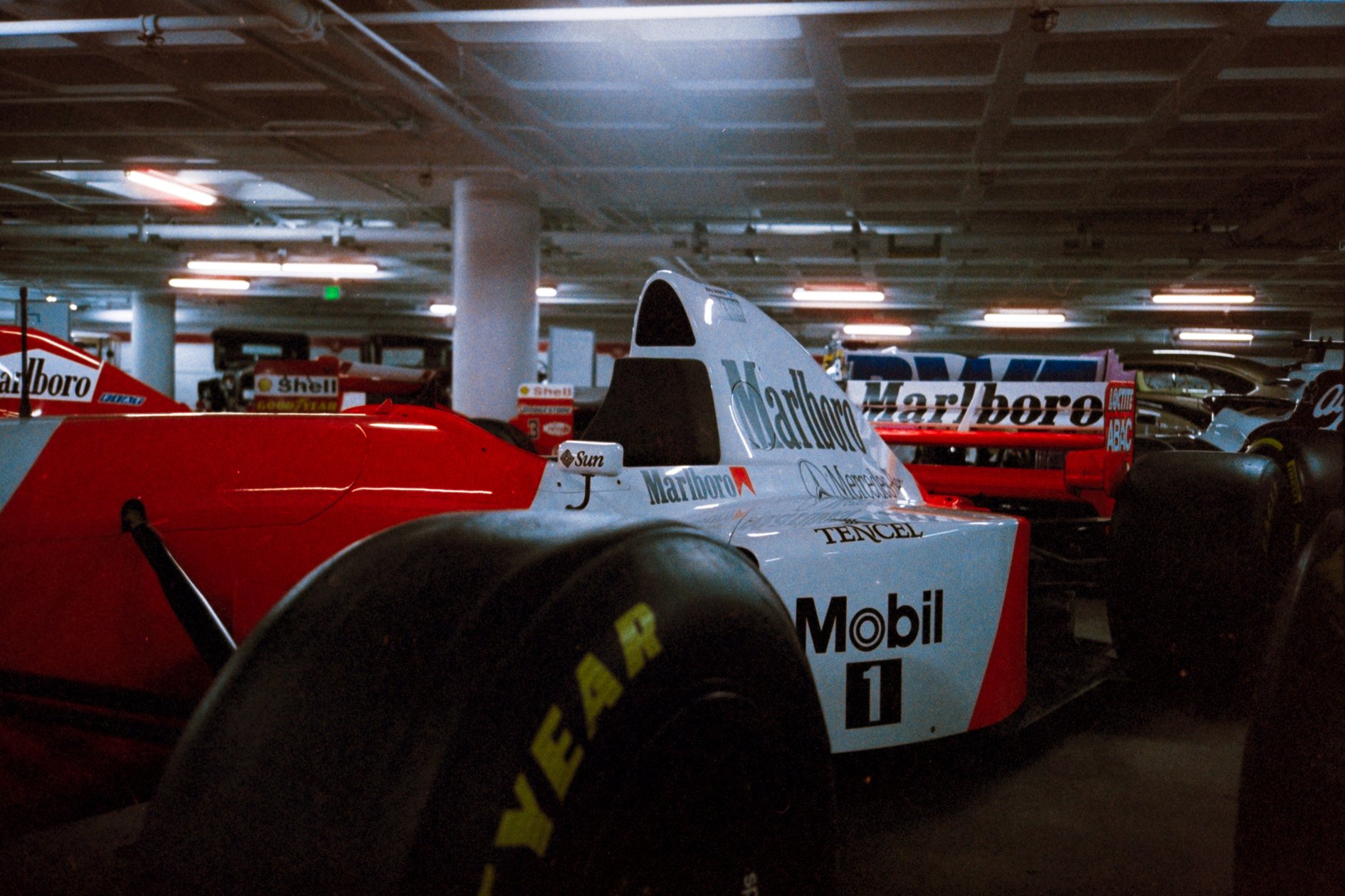 DSCF7529.jpg