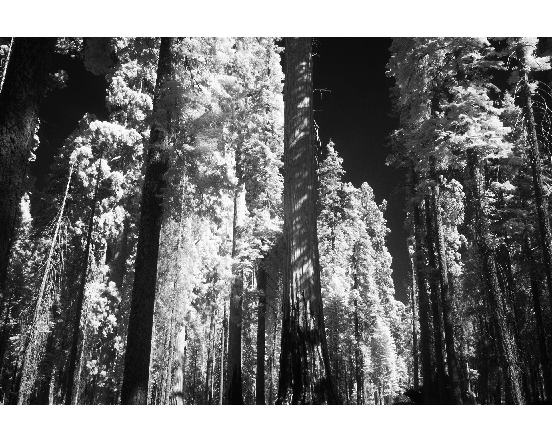 DSCF7727_edit.jpg