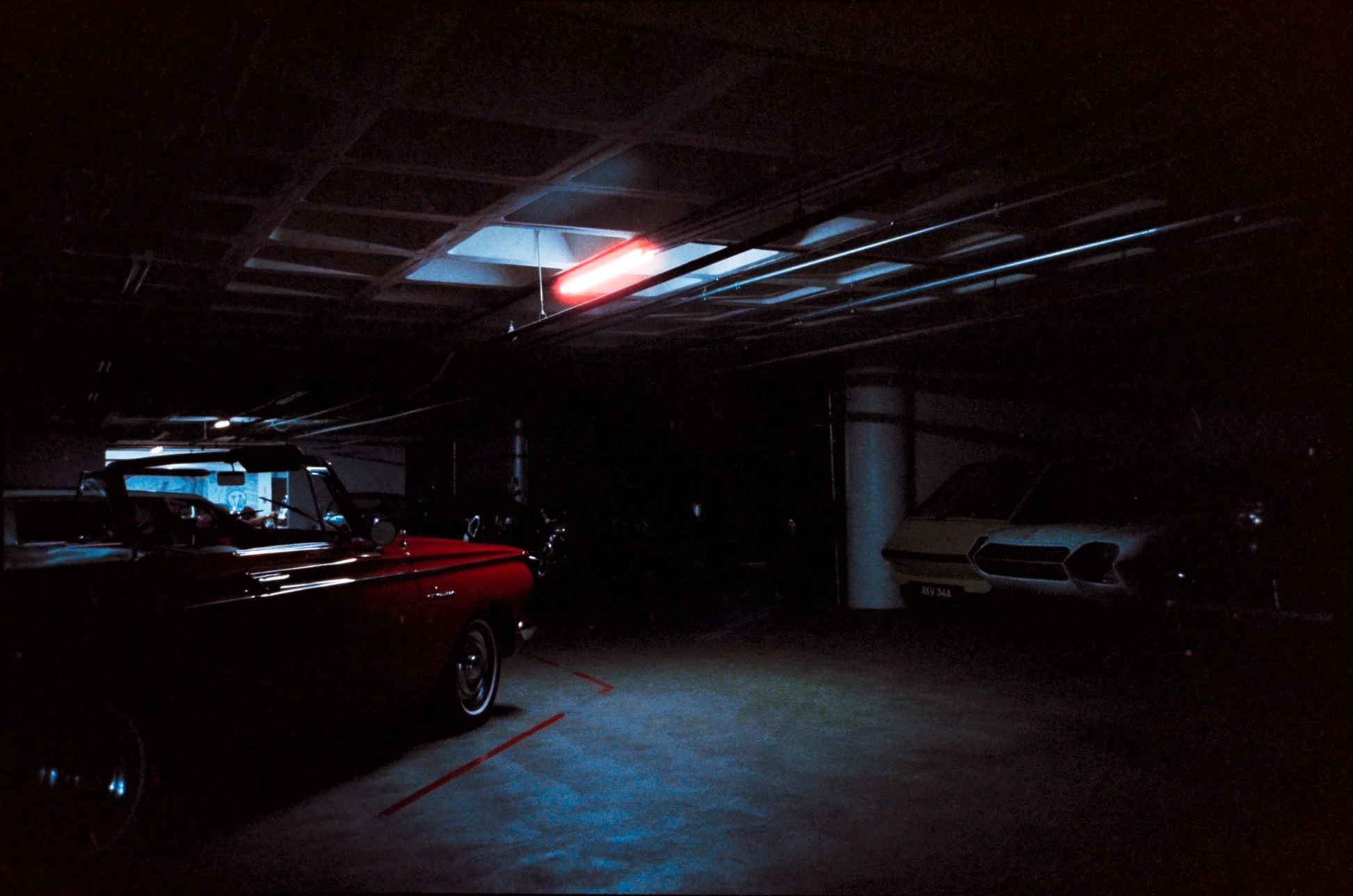 DSCF7517.jpg