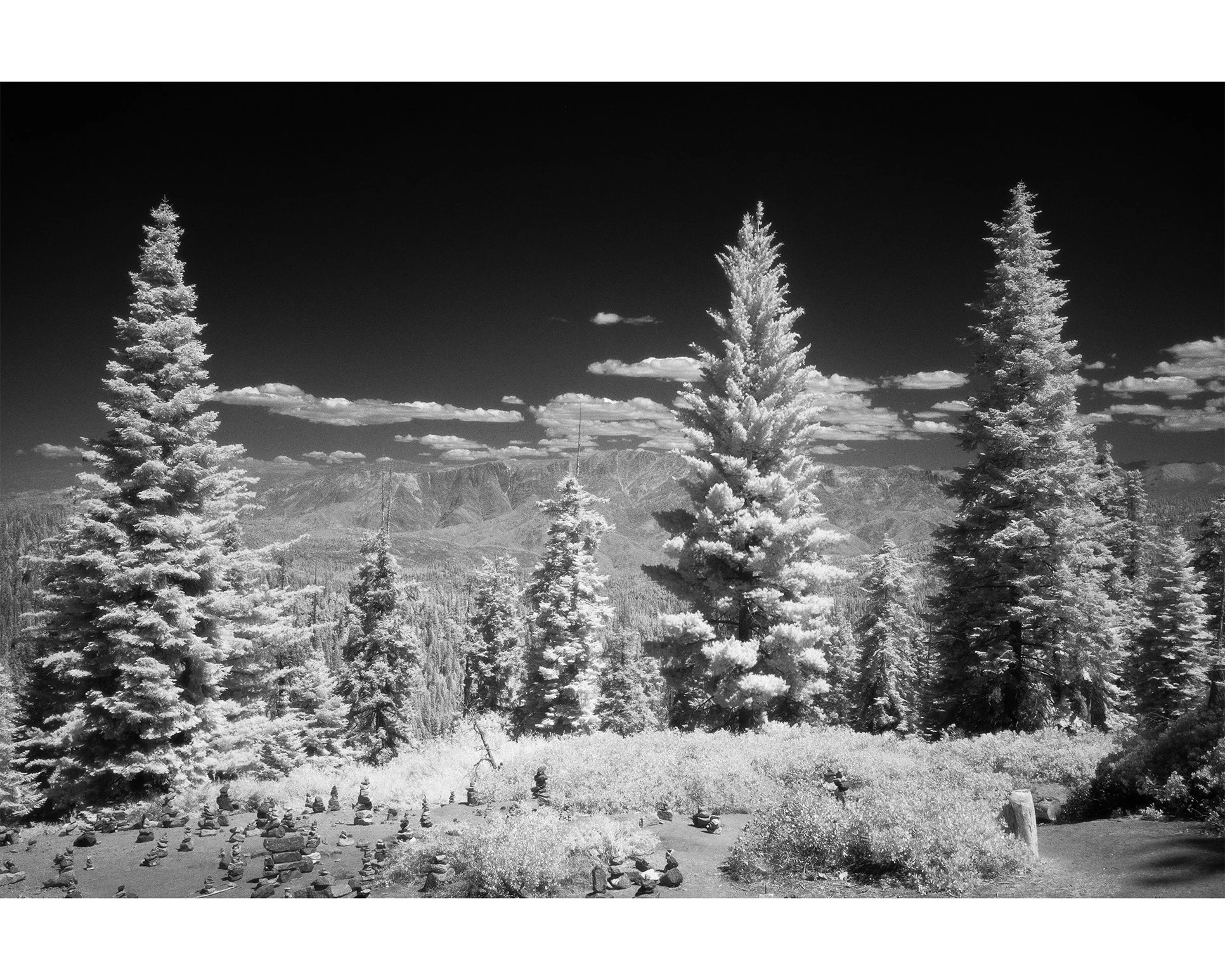 DSCF7751_edit.jpg