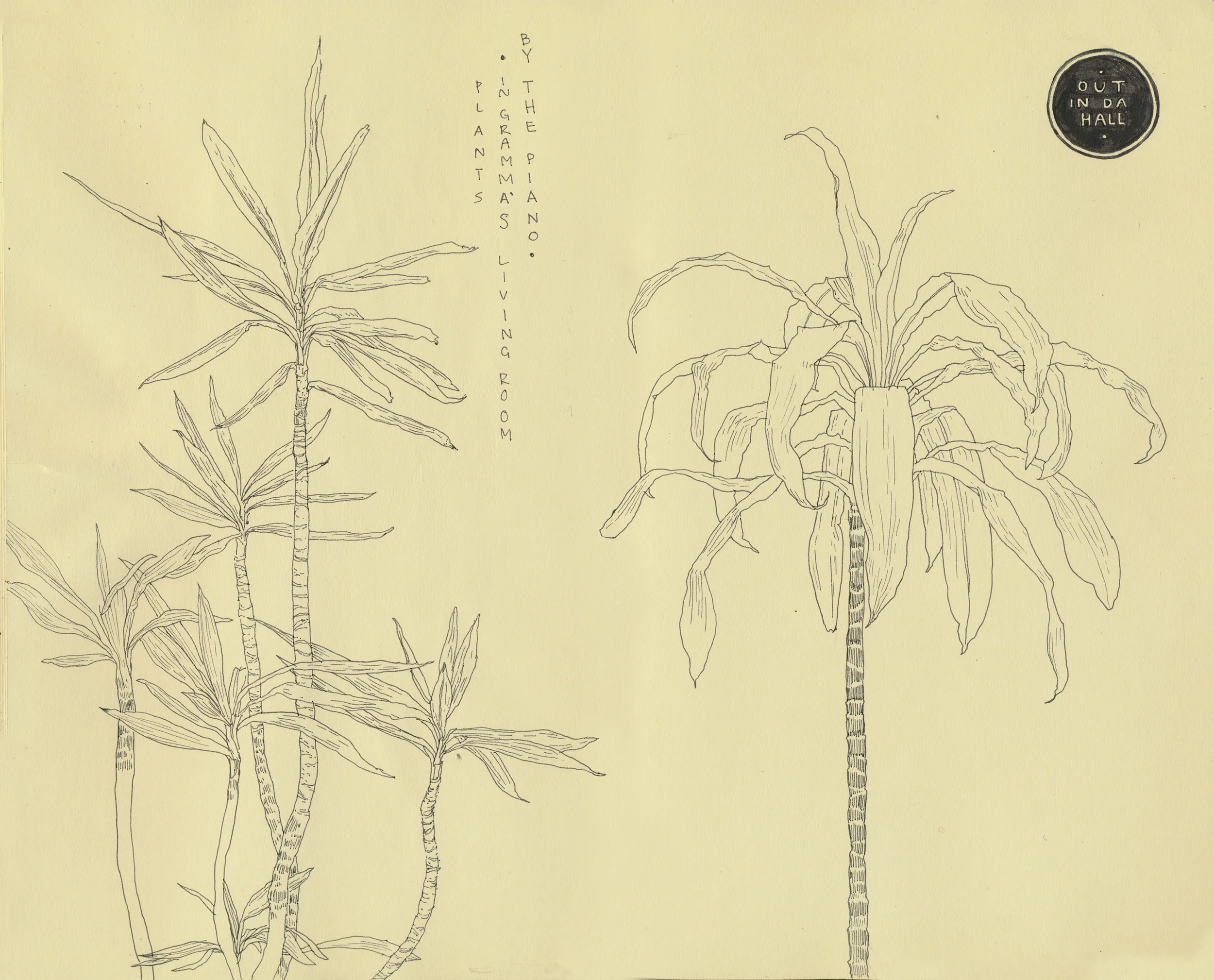 gramma's trees.jpg