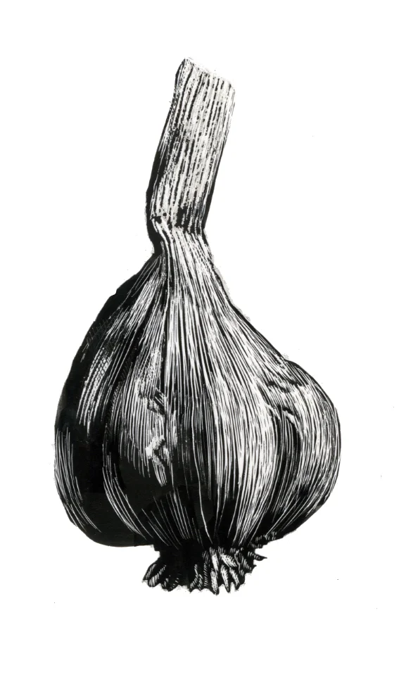 Garlic.jpg