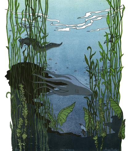 sharktopus - small.png