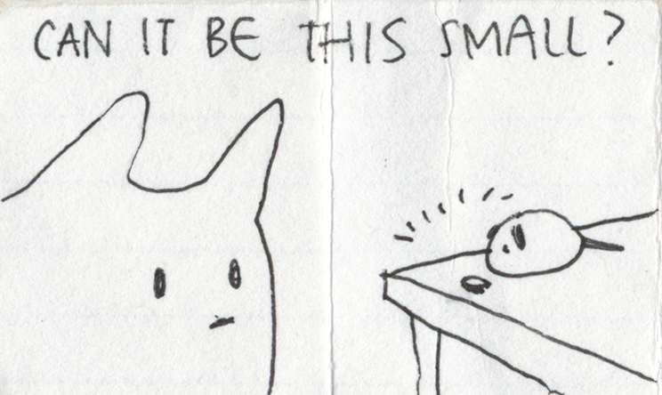 page 2.jpg