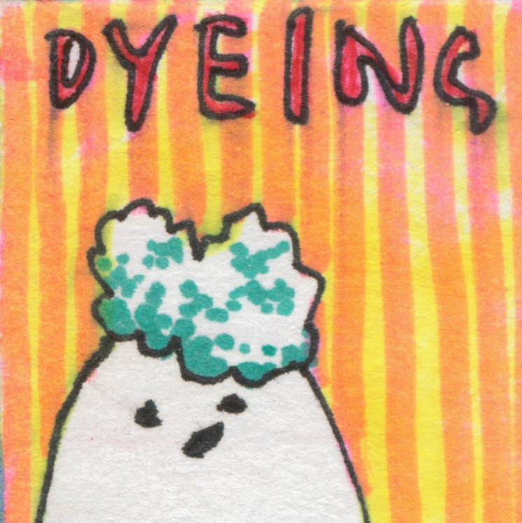 HAIR DYE.png