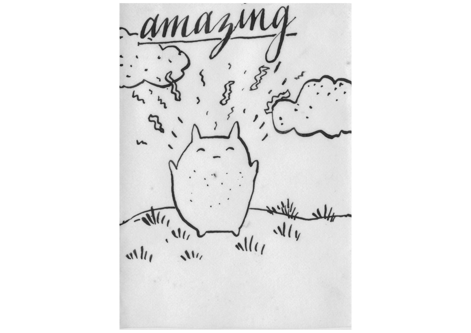 amazing 1.jpg