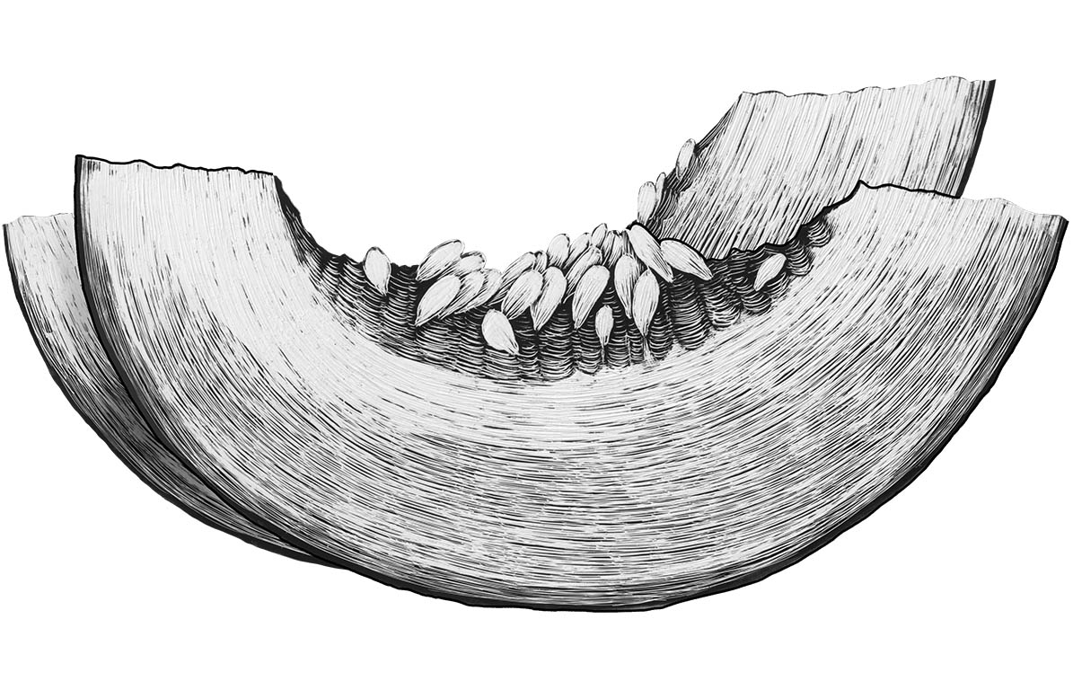 CANTALOUPE.jpg