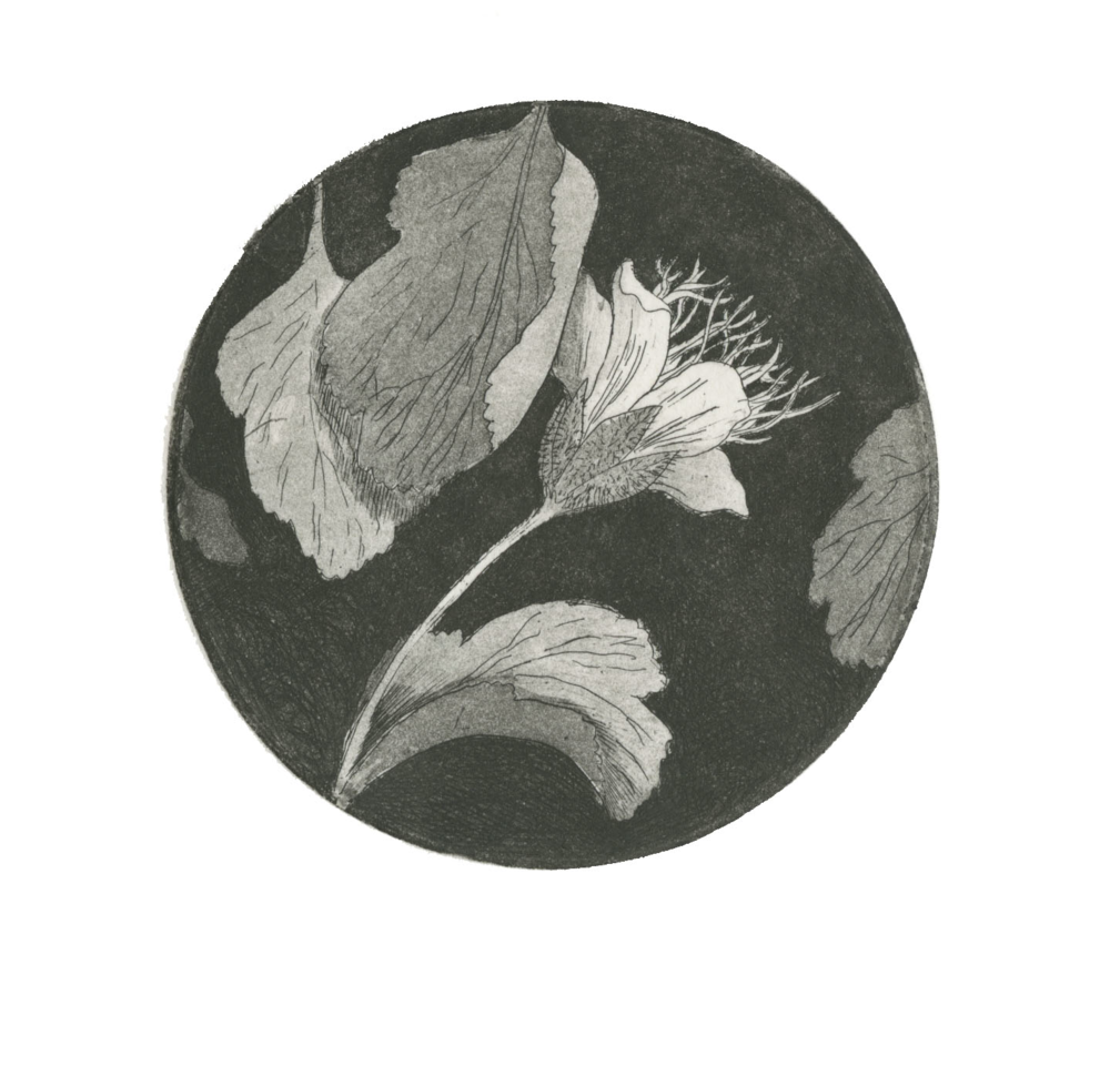 flower.png