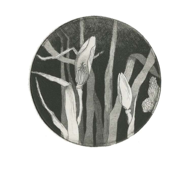 grasses.png