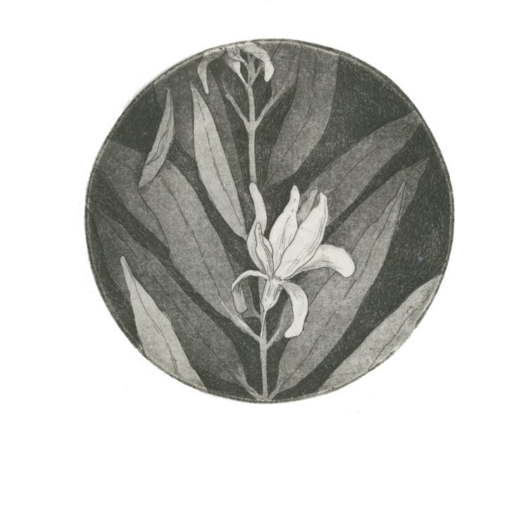other+flower.png