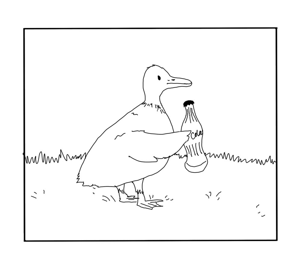 duck+1.jpg