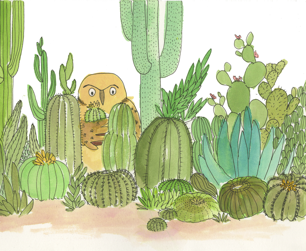  Illustrations for an unpublished book about Powell &amp; his cactus 