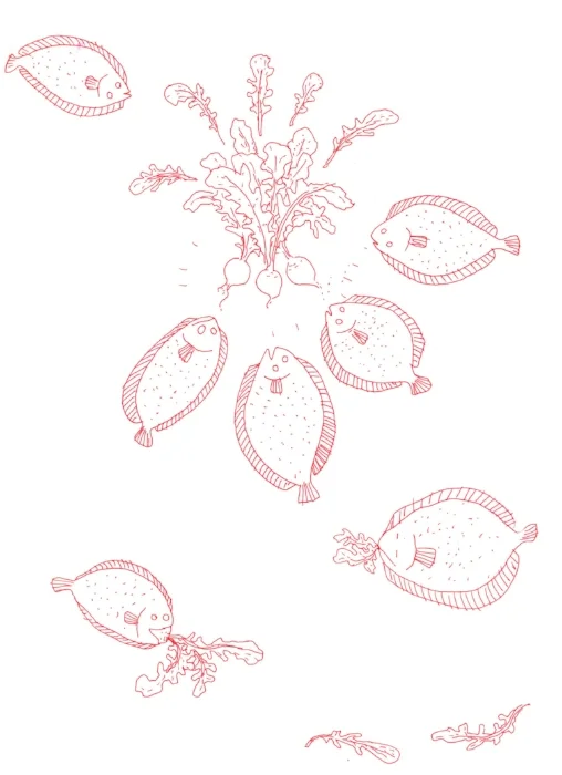 FLATFISH.jpg