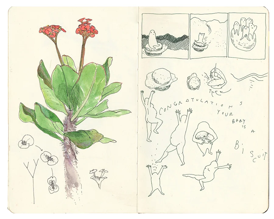notebook p9.jpg