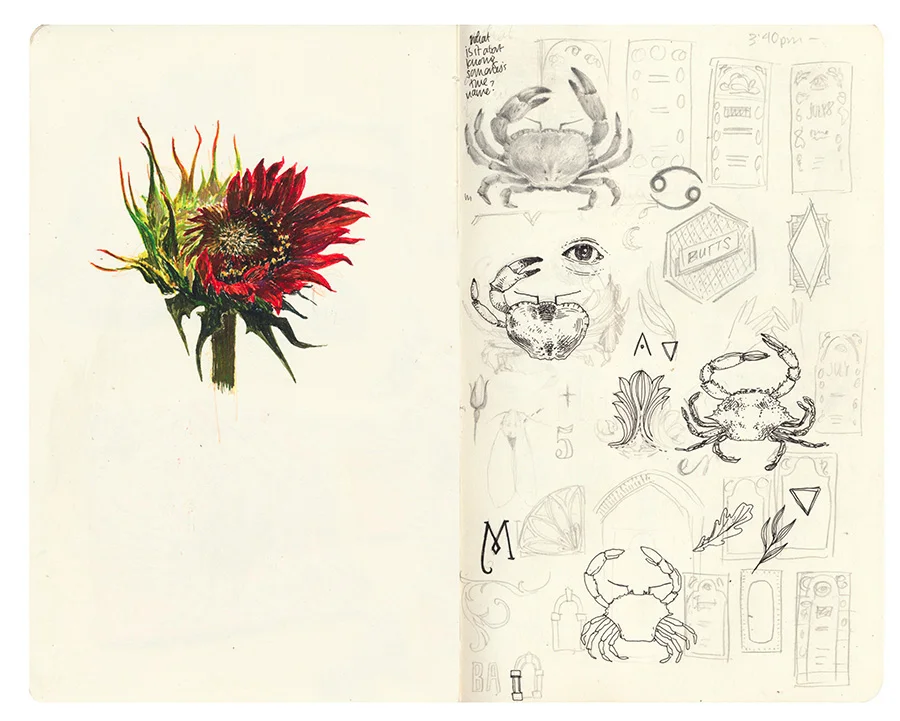 notebook p1.jpg