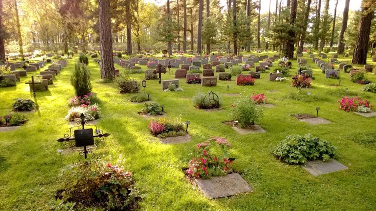 Лесное кладбище фото