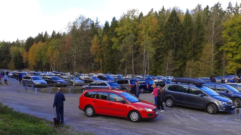 Парковка перед парком в солнечный день забита под завязку