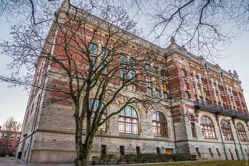 Гётеборгская школа бизнеса