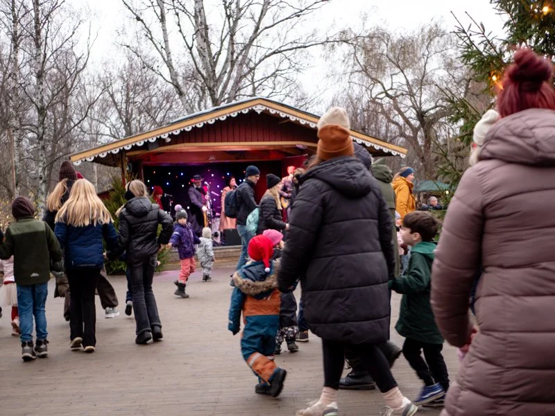 как шведы празднуют рождество в скансене.jpg