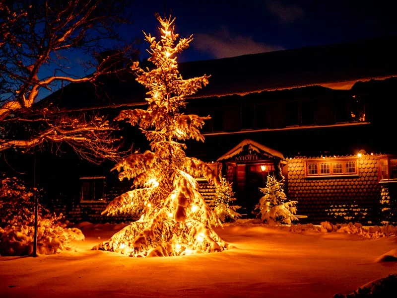 шведские традиции в скансене, рождественская ёлка ночью.jpg