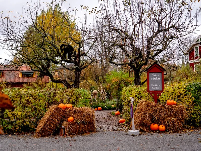 шведские традиции в скансене, хэллоуин в травяном саду.jpg