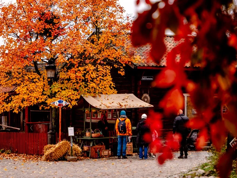 городской квартал Скансена в Стокгольме, красные традиционные домики, красивая осень.jpg