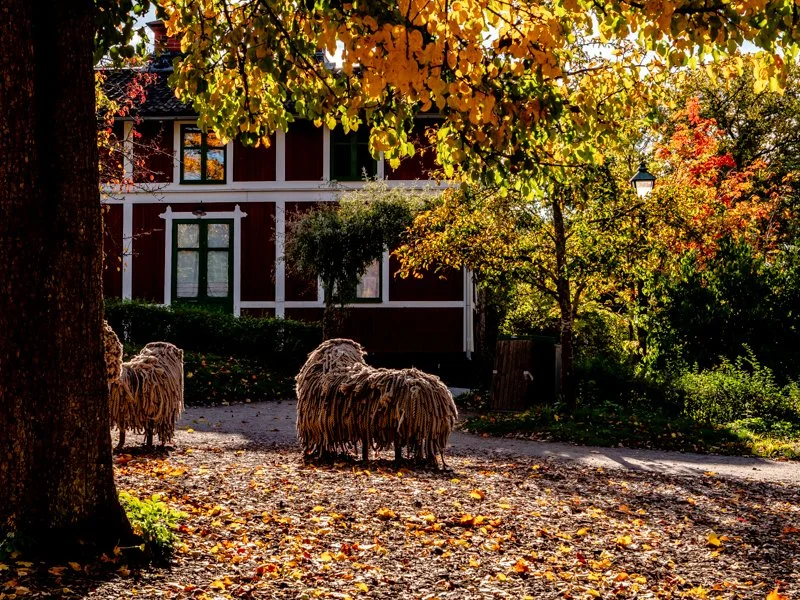 детская площадка в скансене 2.jpg