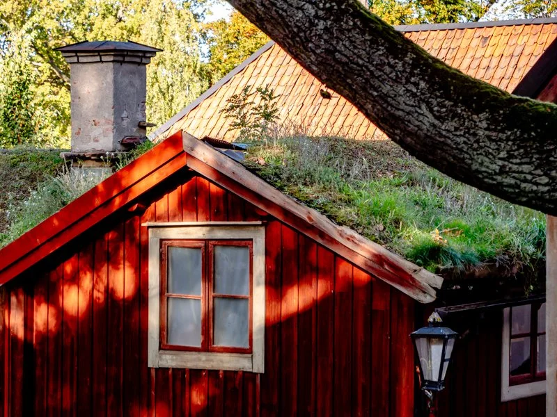 осень в скансене, стокгольм , красный домик с торфяной крышей.jpg