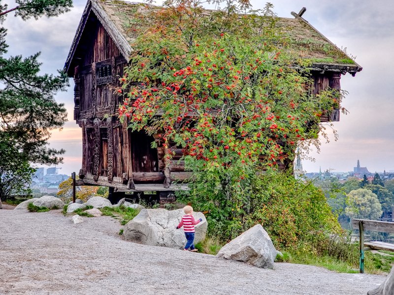 осень в скансене, стокгольм .jpg