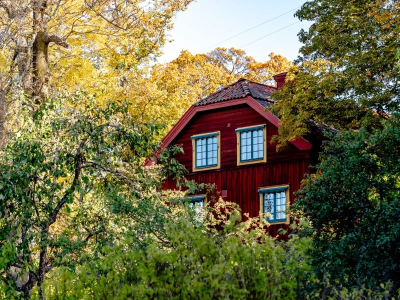 осень в скансене, стокгольм 2.jpg