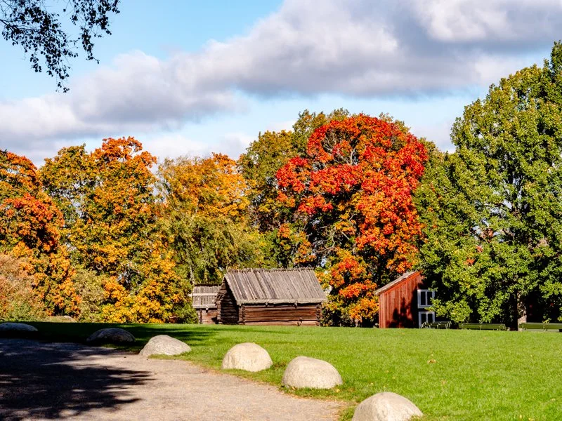 осень в скансене, стокгольм какая погода лужайка залита солнцем.jpg