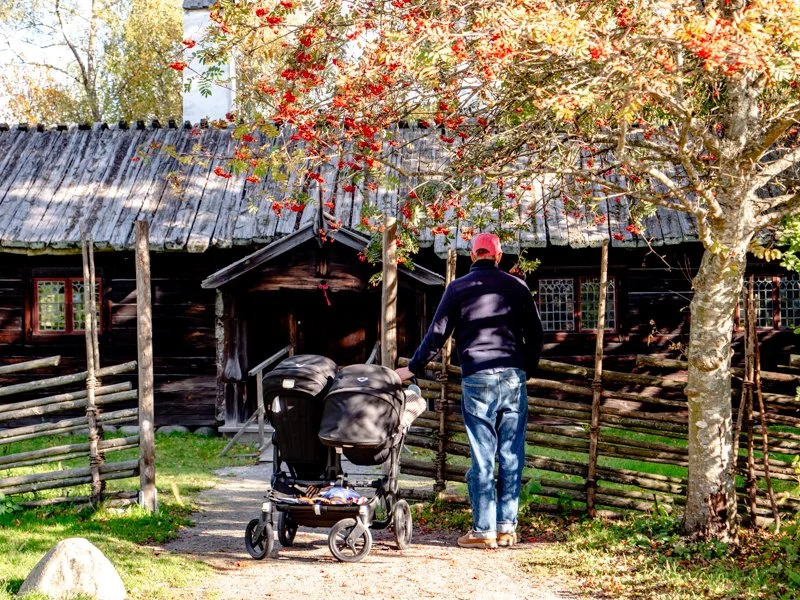 осень в скансене, стокгольм какая погода папа с детской коляской.jpg