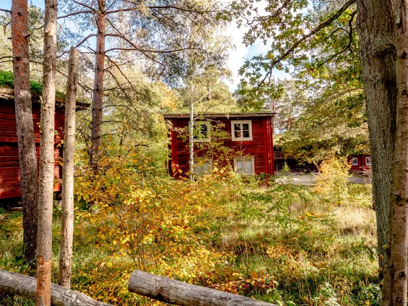 осень в скансене, стокгольм какая погода природа.jpg