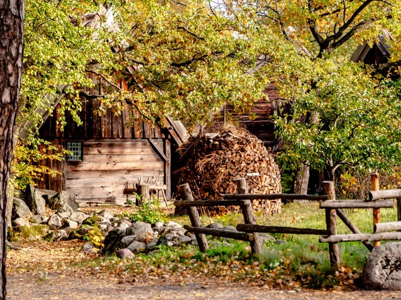 осень в скансене, стокгольм какая погода ферма.jpg
