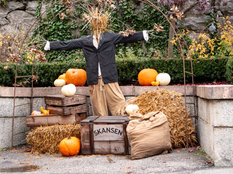 осень в скансене, стокгольм какая погода хэллоуин.jpg