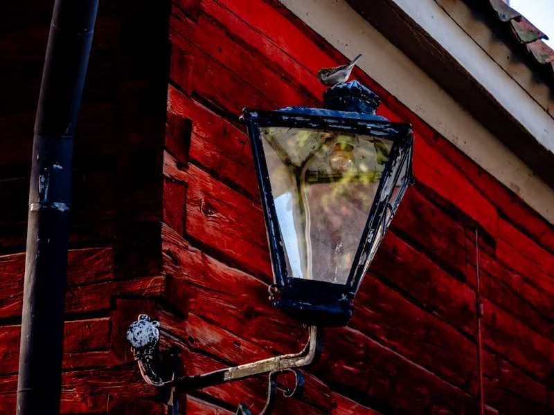 осень в скансене, стокгольм фонарь.jpg