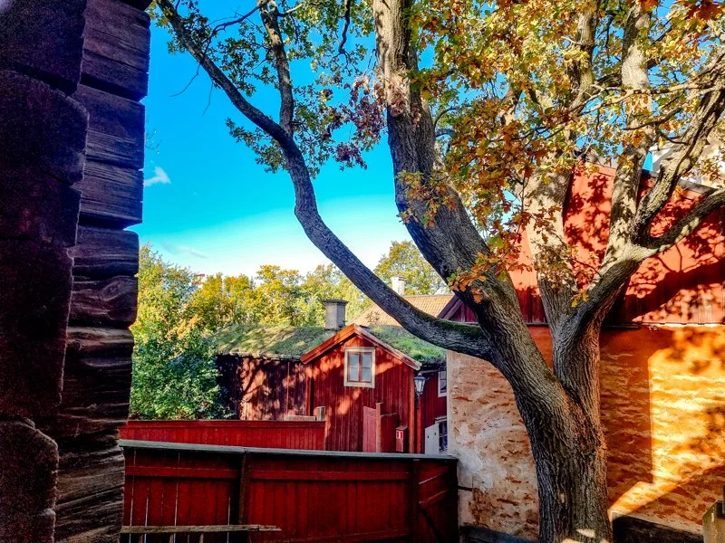 осень в скансене, стокгольм, торфяные крыши.jpg