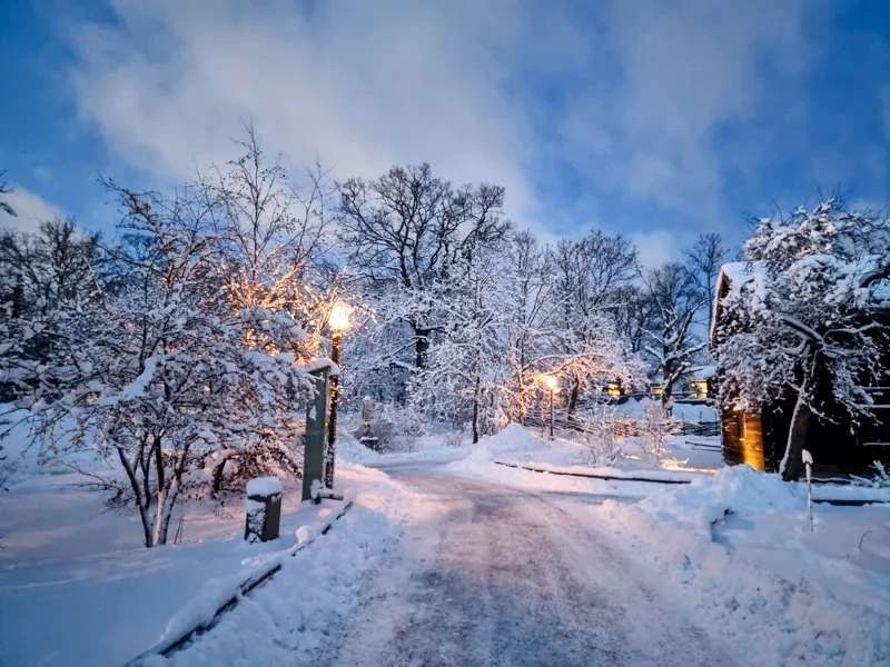 волшебный зимний вечерв Скансене, в стокгольме, холодно, много снега.jpg