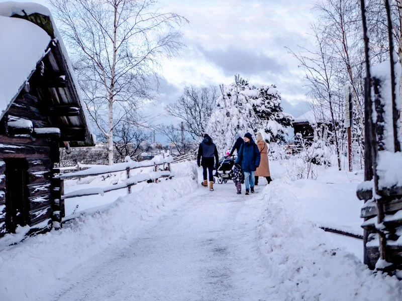 как одеваются люди в стокгольме зимой, скансен, швеция снег 2.jpg