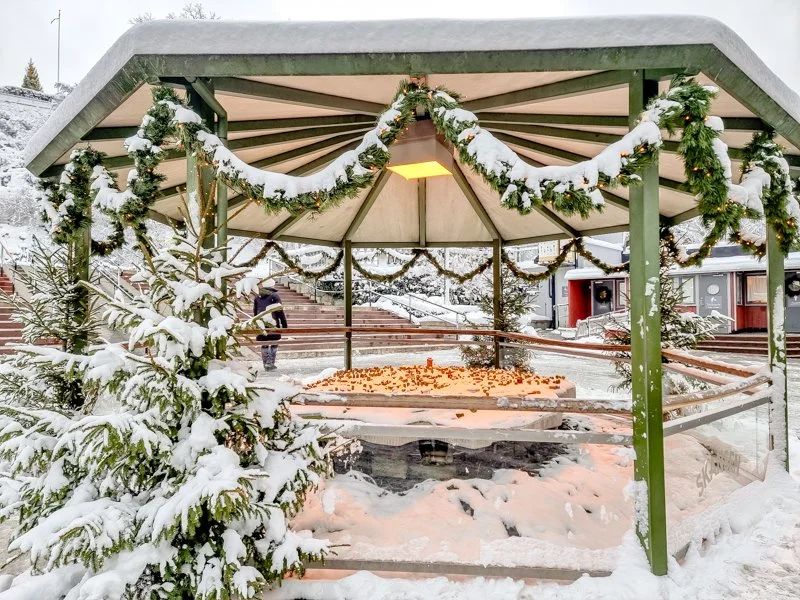 красивая снежная зима в скансене, стокгольм.jpg