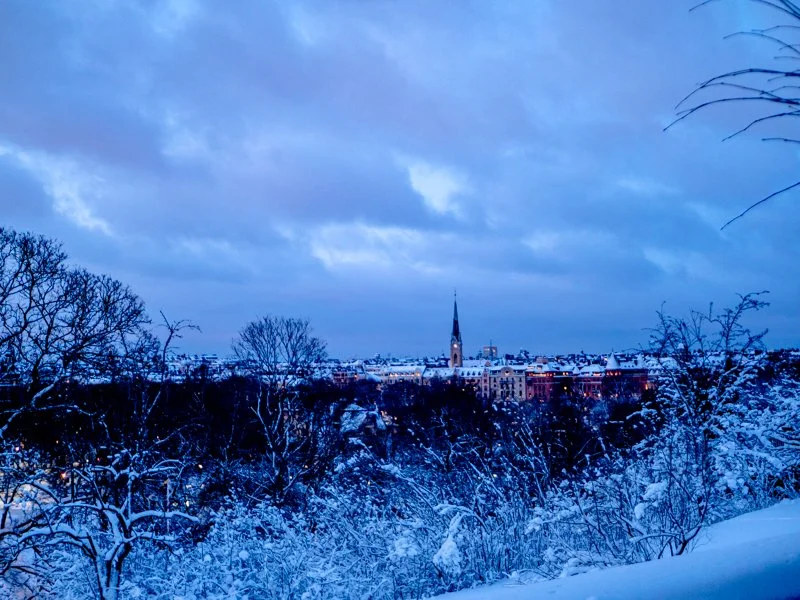 красивый вди на заснеженный стокгольм из Скансена зимой.jpg