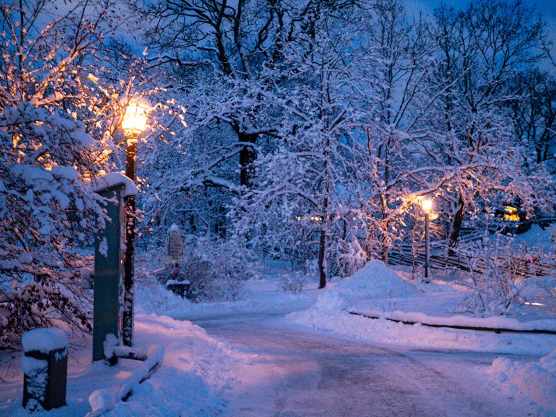 природа и культура в скансене зимой, под снегом.jpg