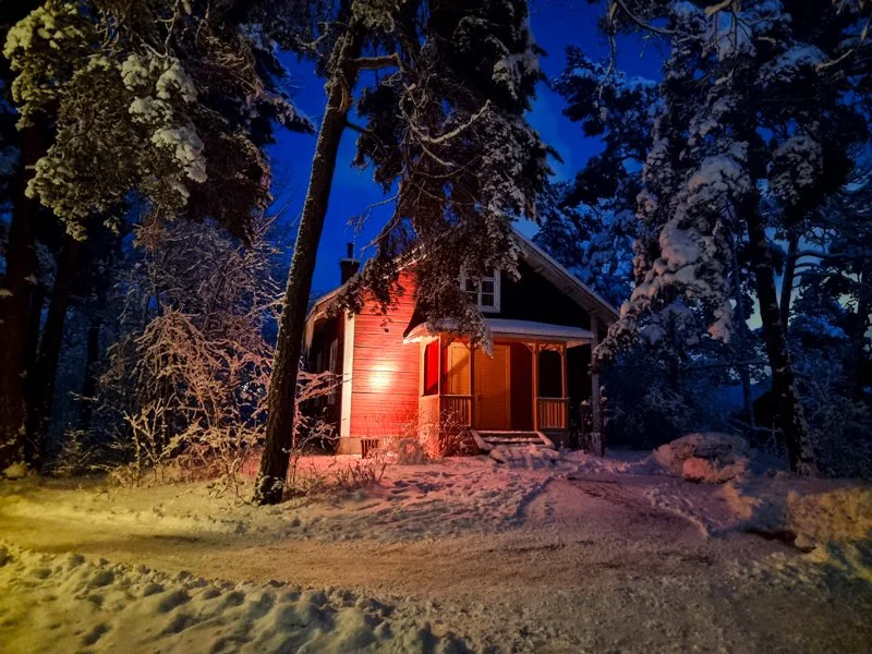 стоит ли идти в Скансен в стокгльме? зима, снег, темно.jpg