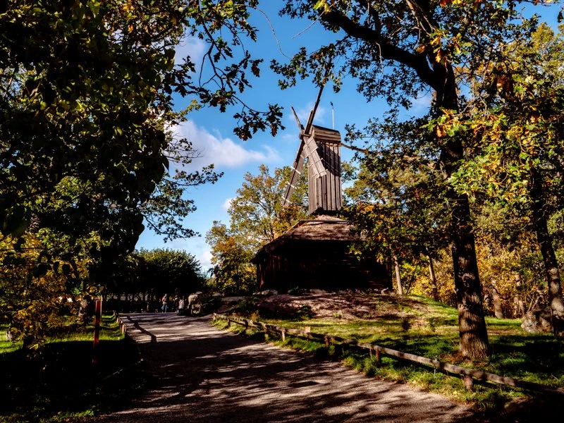 Мельница в скансене осенью, красивый свет.jpg