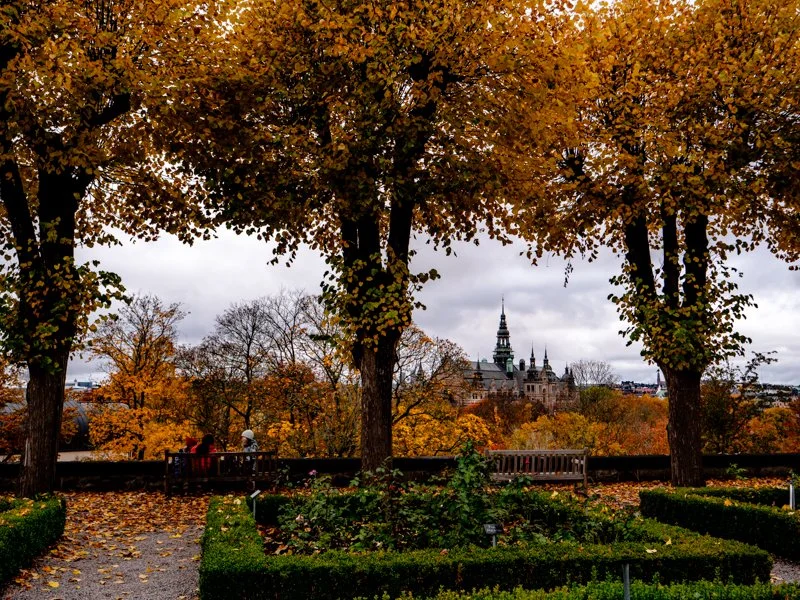 красивые виды на стокгольм со скансена, смотровая площадка.jpg