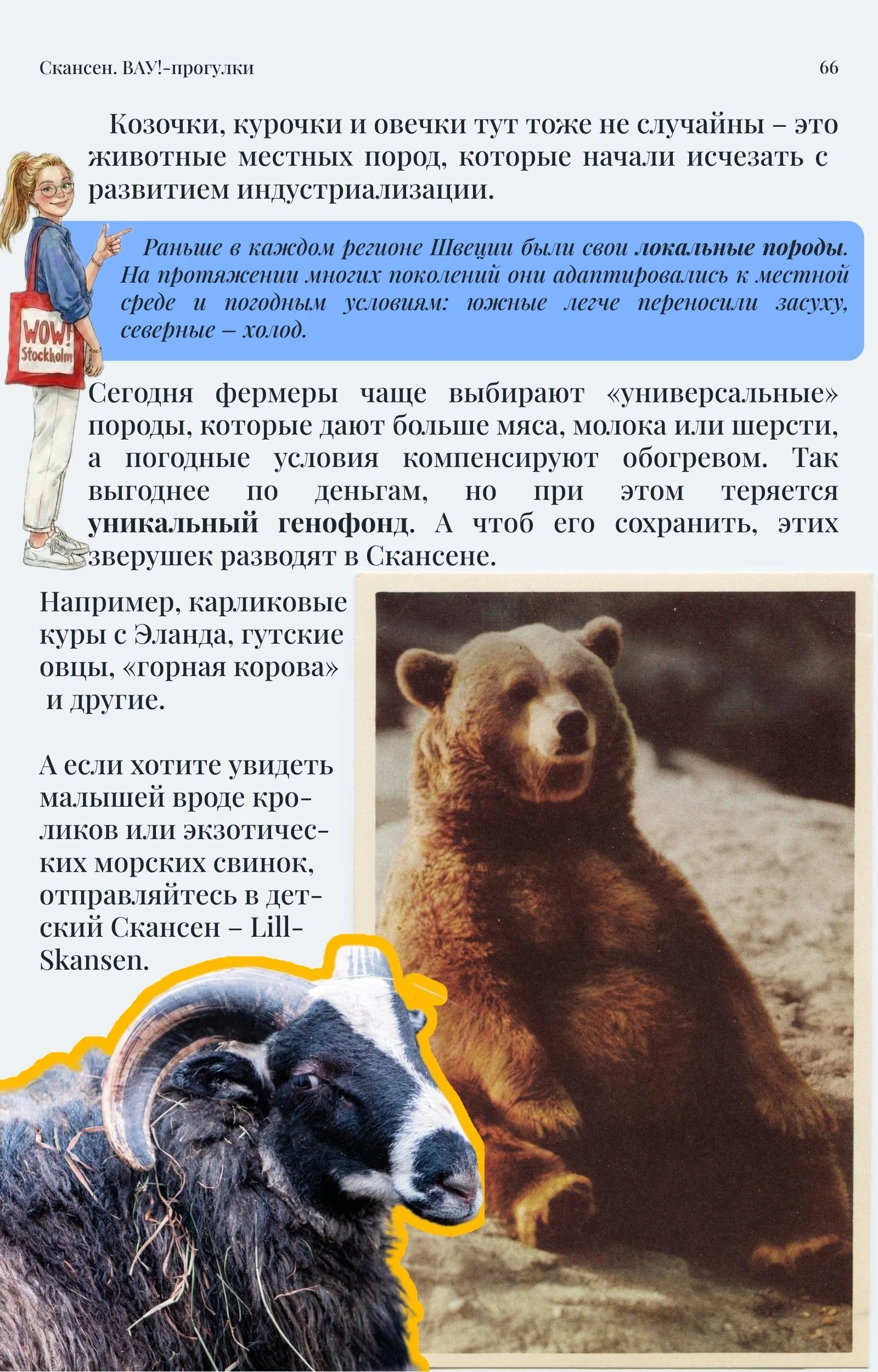 Skansen Самостоятальные экскурсии по Скансену в Стокгольме. ВАУ!-экскурсии с Марией Белой. Зверинец зоопарк.jpg